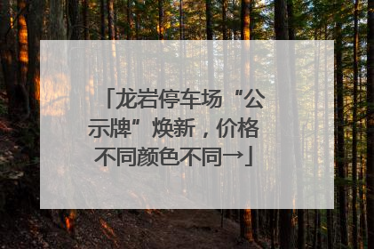 龙岩停车场“公示牌”焕新，价格不同颜色不同→