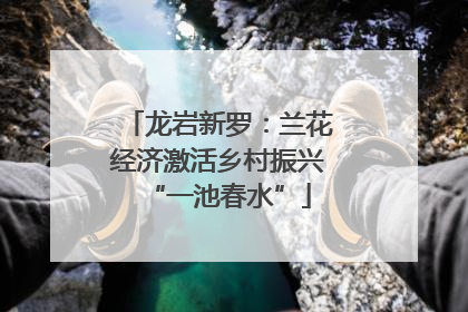 龙岩新罗：兰花经济激活乡村振兴“一池春水”