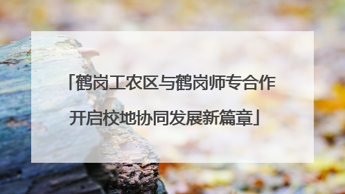 鹤岗工农区与鹤岗师专合作 开启校地协同发展新篇章