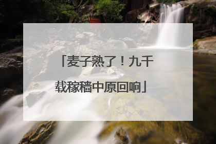 麦子熟了！九千载稼穑中原回响