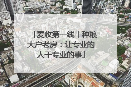 麦收第一线丨种粮大户老房：让专业的人干专业的事