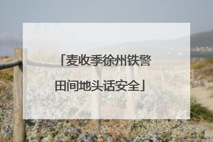 麦收季徐州铁警田间地头话安全