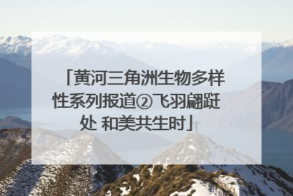 黄河三角洲生物多样性系列报道②飞羽翩跹处 和美共生时