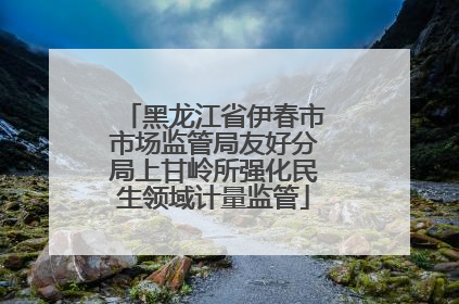 黑龙江省伊春市市场监管局友好分局上甘岭所强化民生领域计量监管