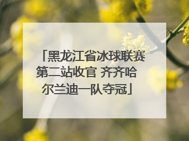 黑龙江省冰球联赛第二站收官 齐齐哈尔兰迪一队夺冠