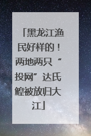 黑龙江渔民好样的！两地两只“投网”达氏鳇被放归大江