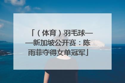（体育）羽毛球——新加坡公开赛：陈雨菲夺得女单冠军