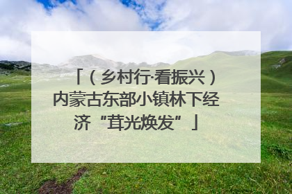 （乡村行·看振兴）内蒙古东部小镇林下经济“茸光焕发”
