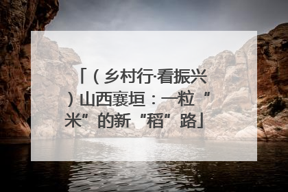 （乡村行·看振兴）山西襄垣：一粒“米”的新“稻”路