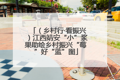 （乡村行·看振兴）江西靖安“小”浆果助绘乡村振兴“莓”好“蓝”图