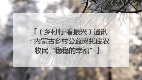 （乡村行·看振兴）通讯：内蒙古乡村公益岗托底农牧民“稳稳的幸福”