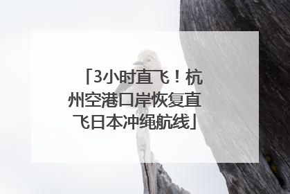 3小时直飞！杭州空港口岸恢复直飞日本冲绳航线