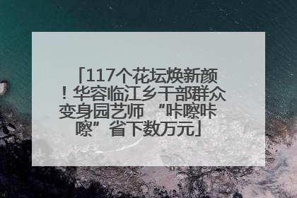 117个花坛焕新颜！华容临江乡干部群众变身园艺师 “咔嚓咔嚓”省下数万元