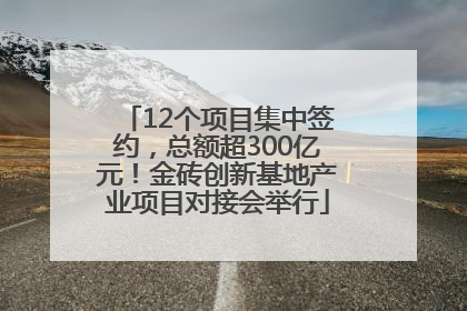 12个项目集中签约，总额超300亿元！金砖创新基地产业项目对接会举行