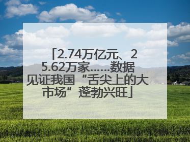 2.74万亿元、25.62万家……数据见证我国“舌尖上的大市场”蓬勃兴旺