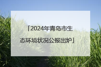 2024年青岛市生态环境状况公报出炉