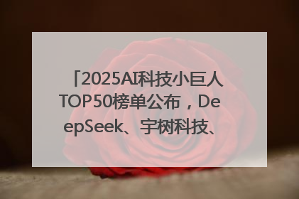 2025AI科技小巨人TOP50榜单公布，DeepSeek、宇树科技、蘑菇车联等企业荣誉上榜