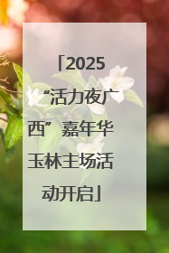 2025“活力夜广西”嘉年华玉林主场活动开启