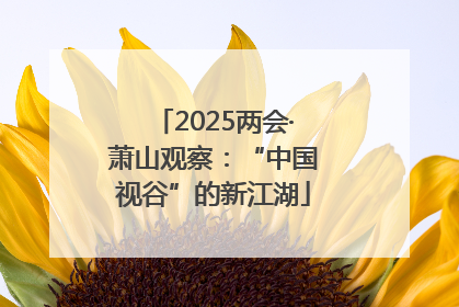 2025两会·萧山观察：“中国视谷”的新江湖