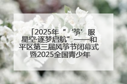 2025年“‘筝’服星空·逐梦启航”——和平区第三届风筝节闭幕式 暨2025全国青少年风筝制作放飞赛（沈阳站）颁奖仪式