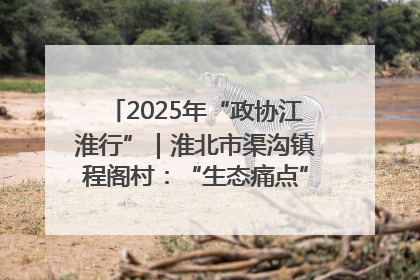 2025年“政协江淮行”｜淮北市渠沟镇程阁村：“生态痛点”变“生态景观”
