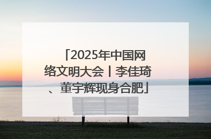 2025年中国网络文明大会丨李佳琦、董宇辉现身合肥