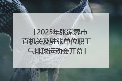 2025年张家界市直机关及驻张单位职工气排球运动会开幕