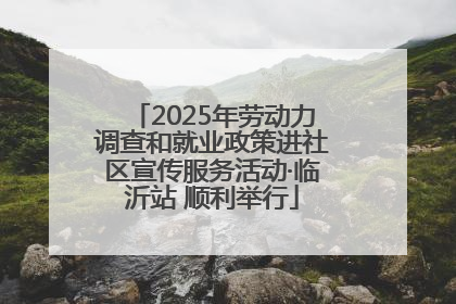 2025年劳动力调查和就业政策进社区宣传服务活动·临沂站 顺利举行