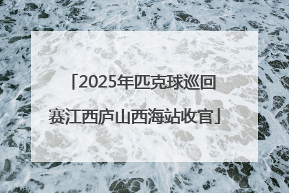 2025年匹克球巡回赛江西庐山西海站收官
