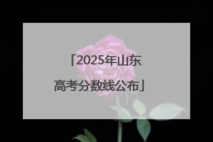 2025年山东高考分数线公布