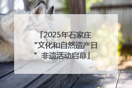 2025年石家庄“文化和自然遗产日”非遗活动启幕