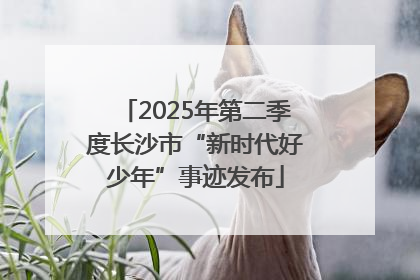 2025年第二季度长沙市“新时代好少年”事迹发布