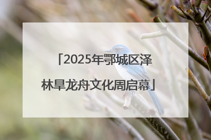 2025年鄂城区泽林旱龙舟文化周启幕