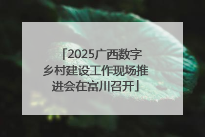 2025广西数字乡村建设工作现场推进会在富川召开