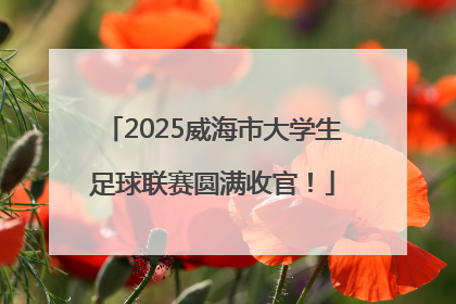 2025威海市大学生足球联赛圆满收官！