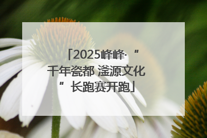 2025峰峰·“千年瓷都 滏源文化”长跑赛开跑