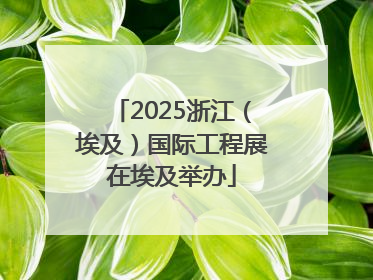 2025浙江（埃及）国际工程展在埃及举办