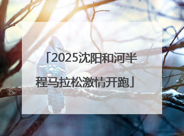 2025沈阳和河半程马拉松激情开跑