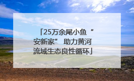 25万余尾小鱼“安新家” 助力黄河流域生态良性循环
