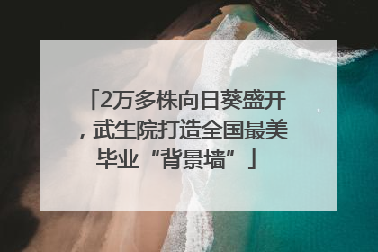 2万多株向日葵盛开，武生院打造全国最美毕业“背景墙”
