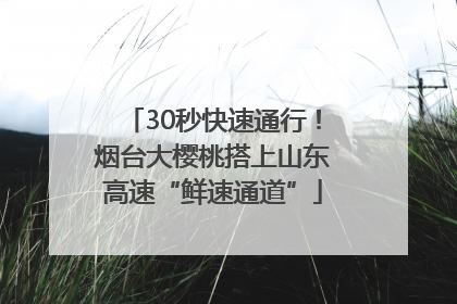 30秒快速通行！烟台大樱桃搭上山东高速“鲜速通道”