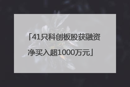 41只科创板股获融资净买入超1000万元
