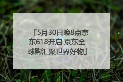 5月30日晚8点京东618开启 京东全球购汇聚世界好物