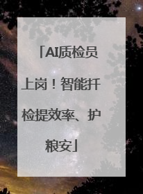 AI质检员上岗！智能扦检提效率、护粮安