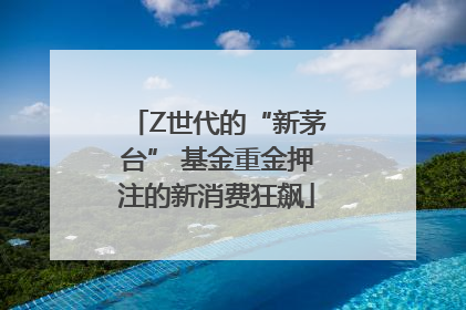 Z世代的“新茅台” 基金重金押注的新消费狂飙